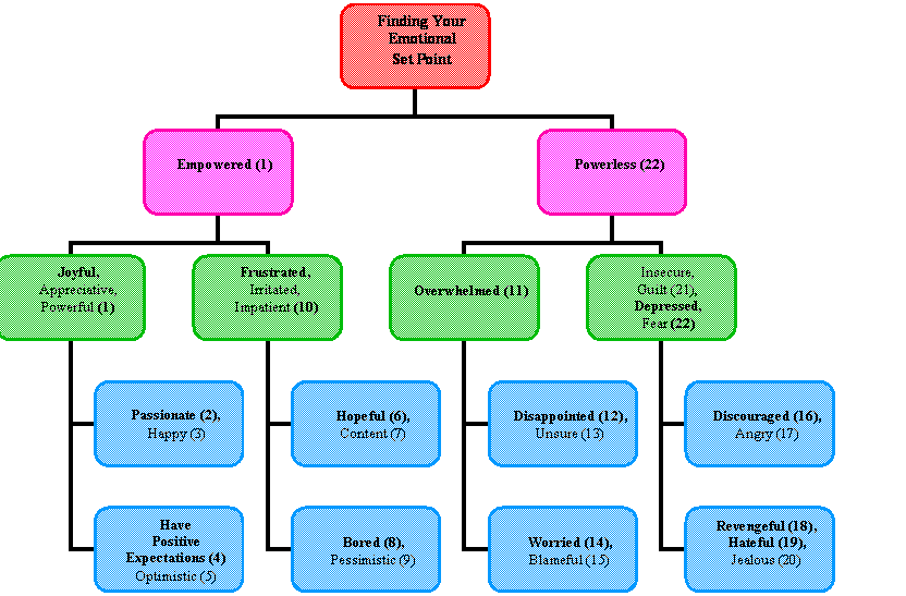 Organization Chart